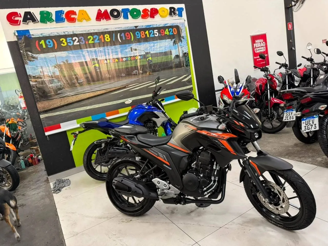 YAMAHA FZ25 FAZER ABS 2024/2024