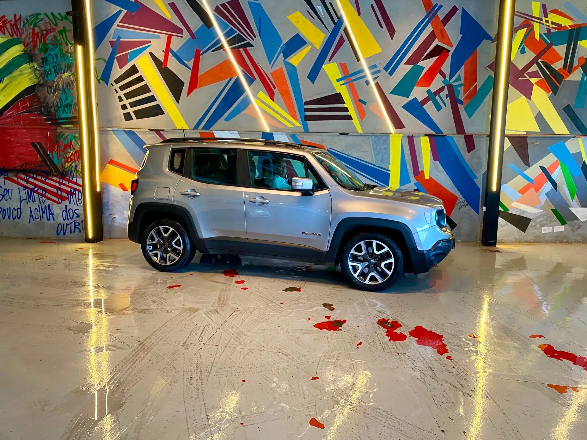 JEEP RENEGADE 2019/2019